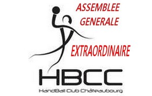 ASSEMBLEE GENERALE EXTRAORDINNAIRE DU 14 NOVEMBRE 2017