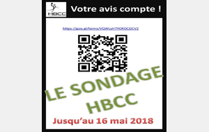 HBCC : sondage sur vos attentes et votre vision du club ; votre avis compte !