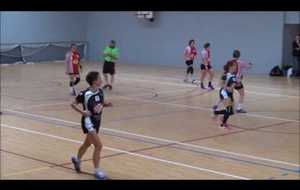 HBCC SENIORS FILLES - UNION LAVAL HANDBALL  coupe de france