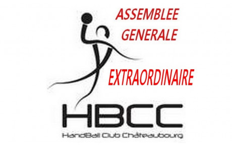 ASSEMBLEE GENERALE EXTRAORDINNAIRE DU 14 NOVEMBRE 2017