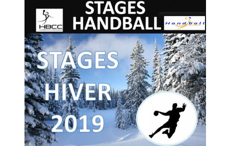 Stage Hiver 2019